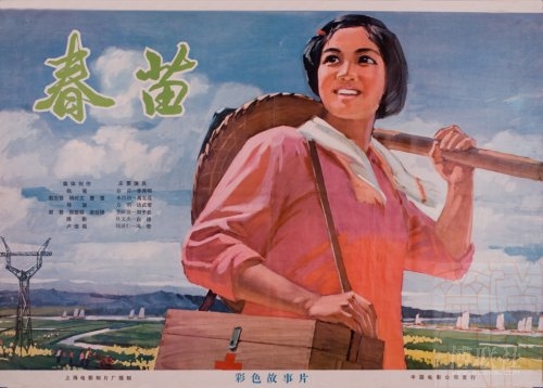 北卡罗来纳州立大学社会学文凭证书